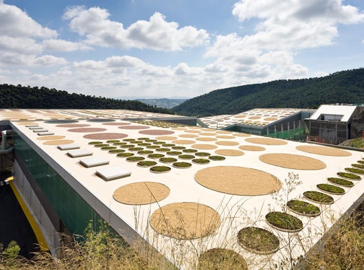 Primii câştigători de la WAF 2011