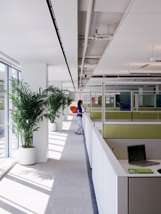 Clădiri verzi. Certificare LEED