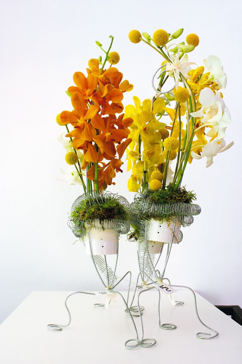 De vorbă cu Elena Toader de la YaU