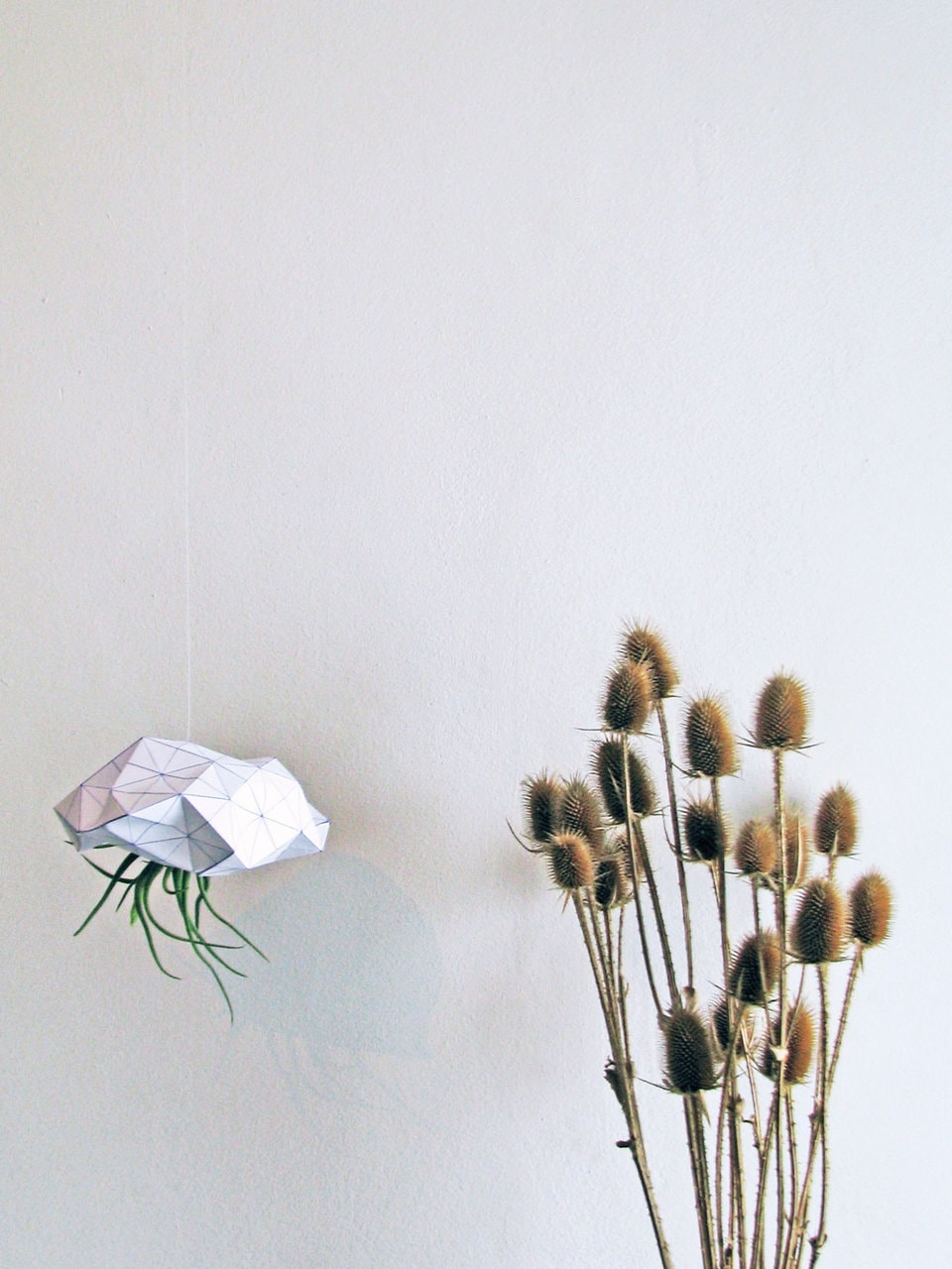 Designul în sărbătoare