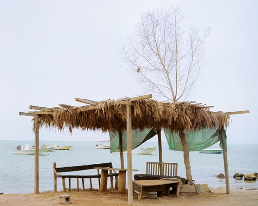 Premiile Bienalei de la Veneţia 2010