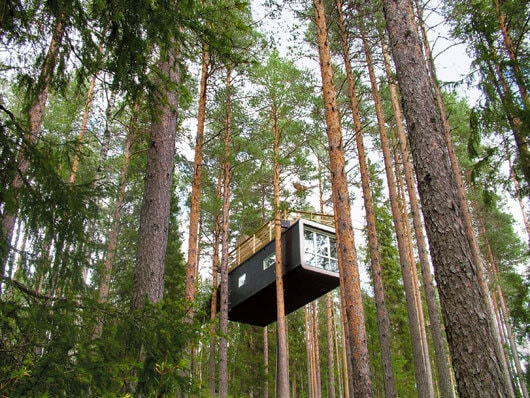 Tree Hotel