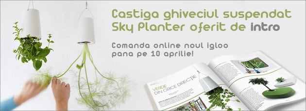 Câștigătorii celor două premii oferite de Poteca Studio și INTRO!