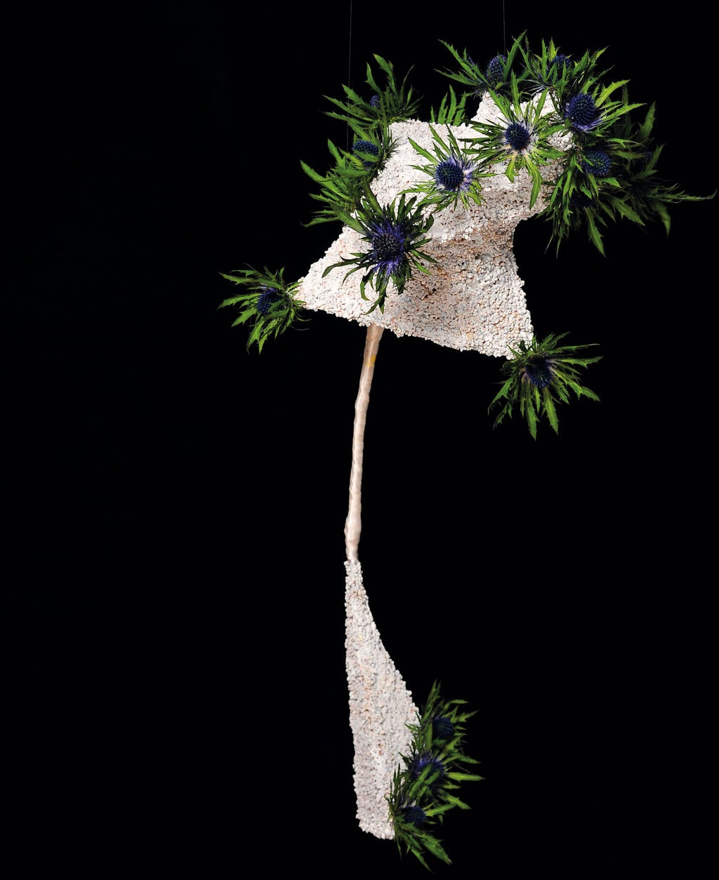 Elena Toader. De la arhitectură la design