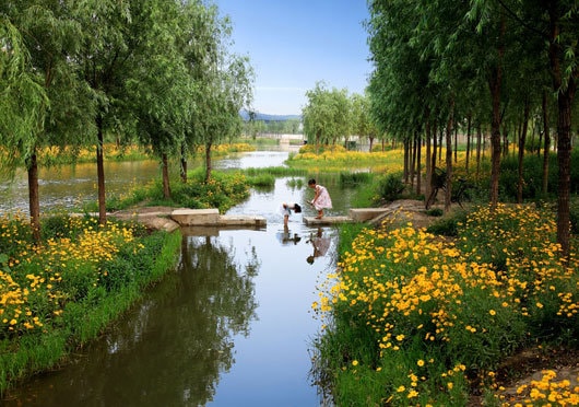 Primii câştigători de la WAF 2011