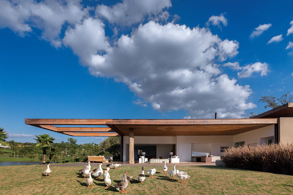 Igloo #150: Arhitecturi de vară