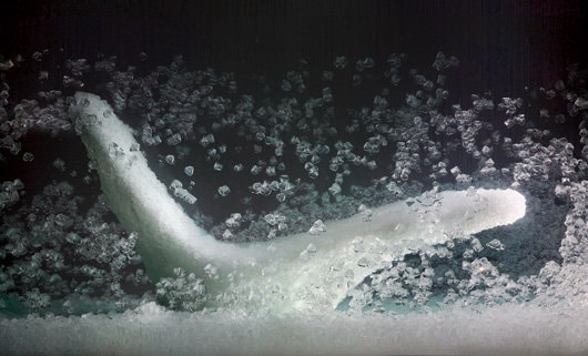 6 fragmente. Tokujin Yoshioka