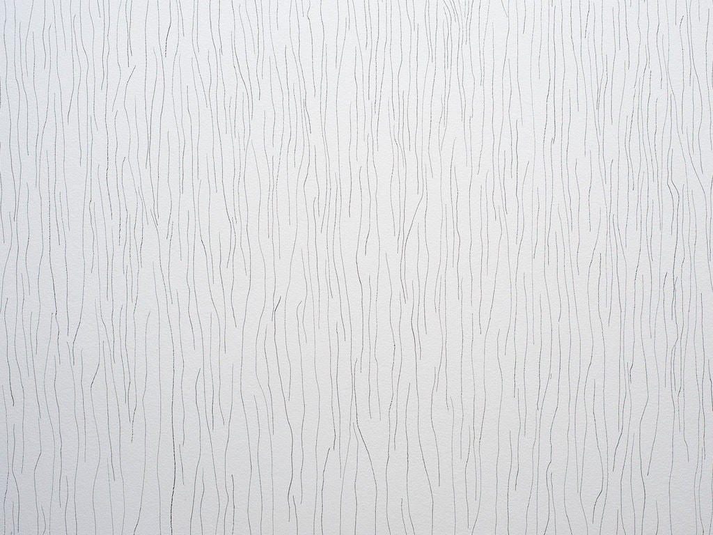 Arhitectura desenului