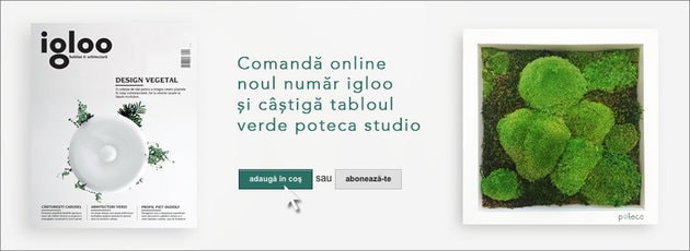 Câștigătorii celor două premii oferite de Poteca Studio și INTRO!