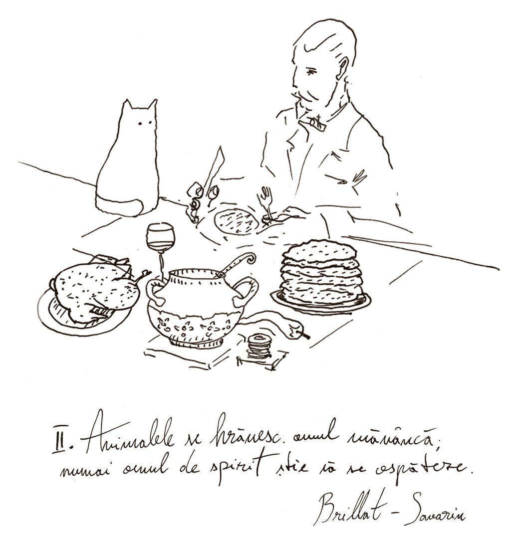 Laptele păsărilor şi alte nourritures terrestres