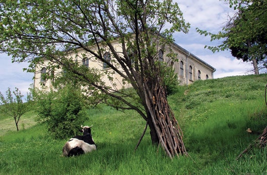 Piatra şi lutul – expoziţie la Muzeul Udrişte Năsturel din Hereşti