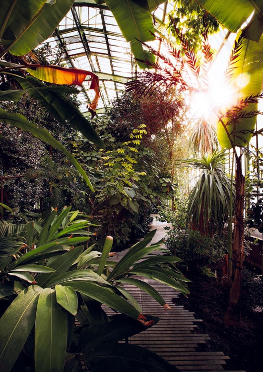 Jardin des Plantes. Un nou concept de seră