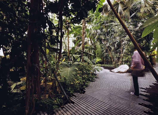 Jardin des Plantes. Un nou concept de seră