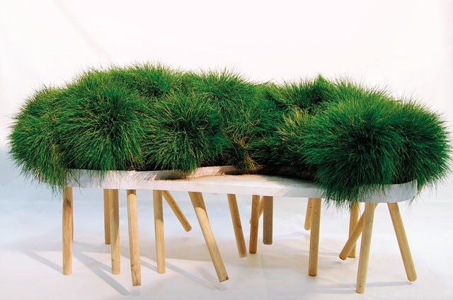 Designul în sărbătoare