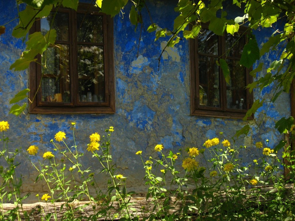 Casa cu şura de paie – între trecut şi viitor