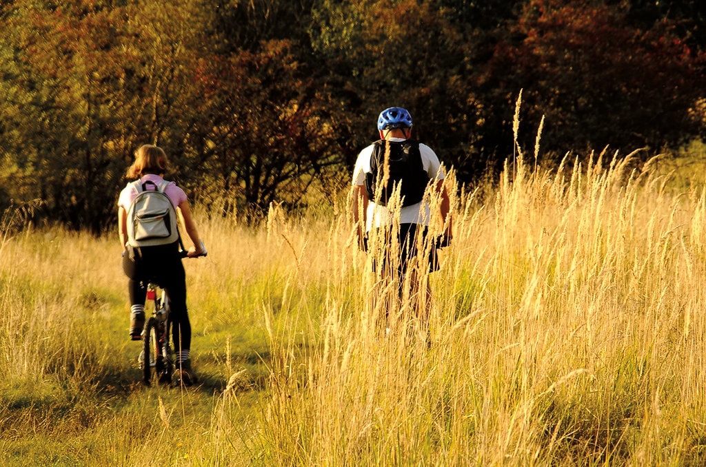 igloo #161: Stații pentru transport public