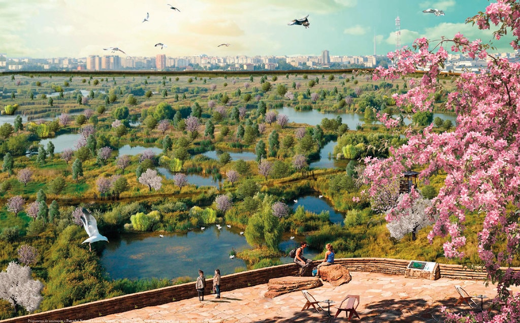 Groapa Văcăreşti sau Parcul-Deltă al Bucureştiului