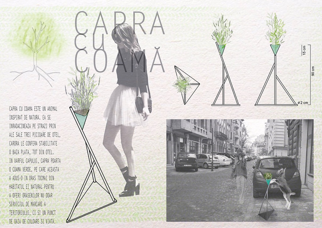 Rezultatele concursului de design (de obiect) Capra Urbană. Igloo