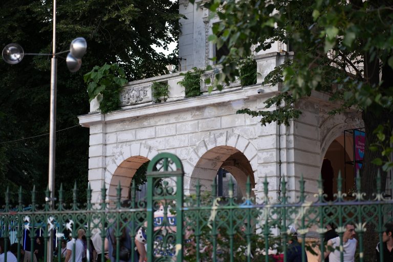 rdw-2405-cina-mihai-ciobanu-10