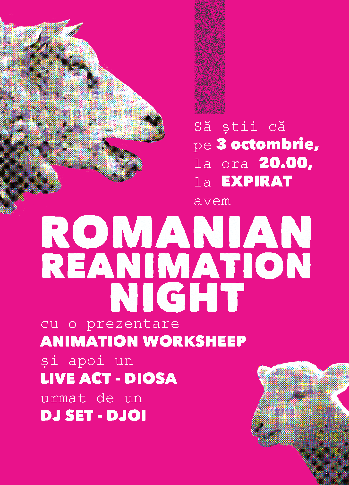 romanian_50x70_bleed5mm_v01_preview