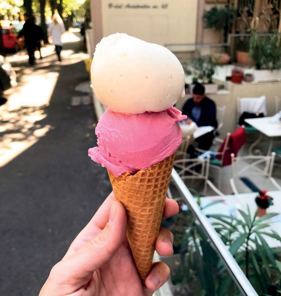 sorbet-de-must-si-de-vanilie-