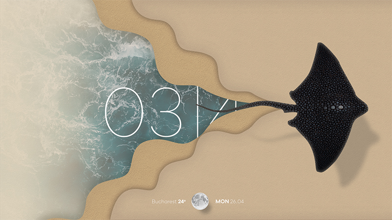 stingray-1920x1080-final-copy