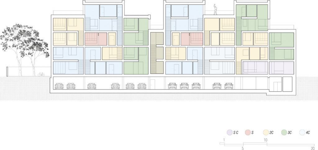 Secţiune longitudinală