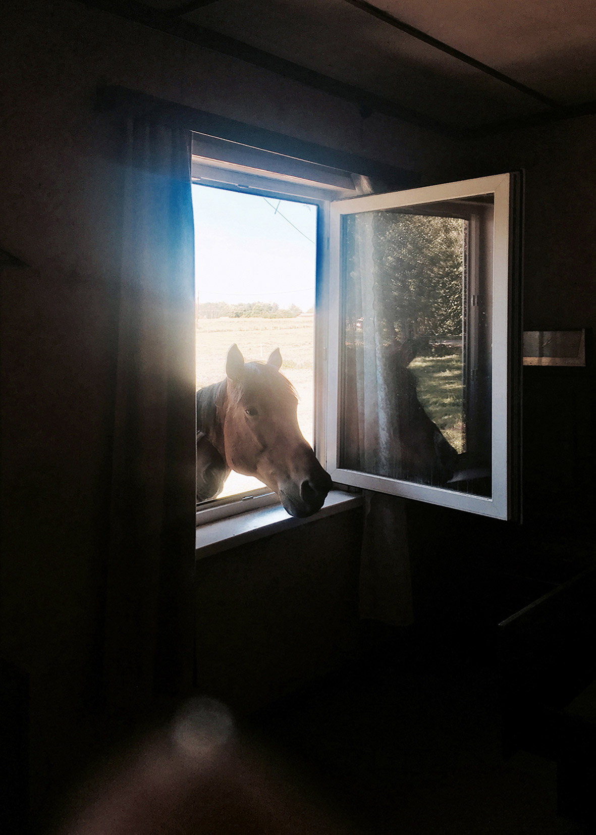 Remember Europe (I) © Patricia Moroșan