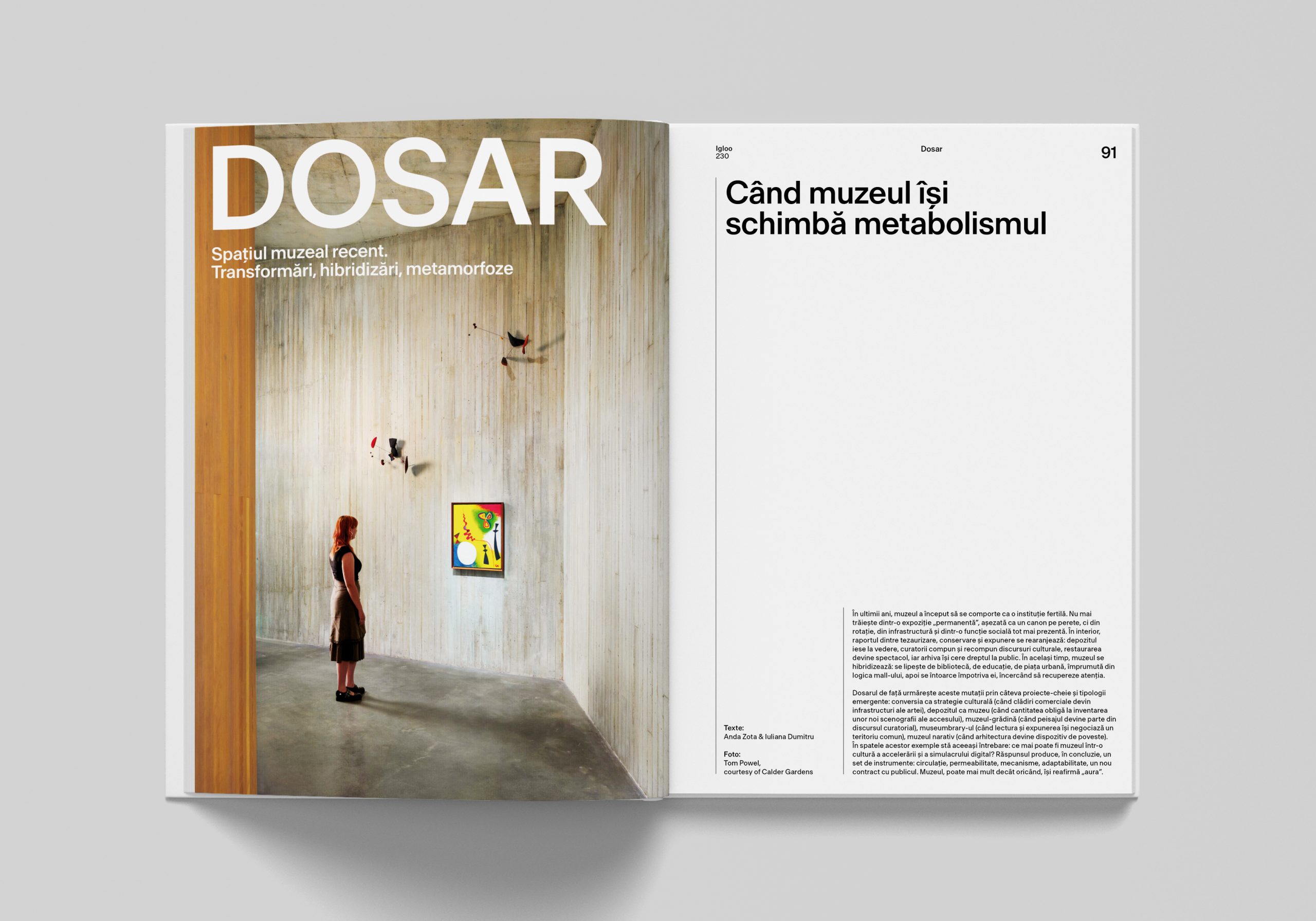 igloo 230 / Spațiul muzeal recent. Transformări, hibridizări, metamorfoze / februarie – martie 2026 - imagine 2