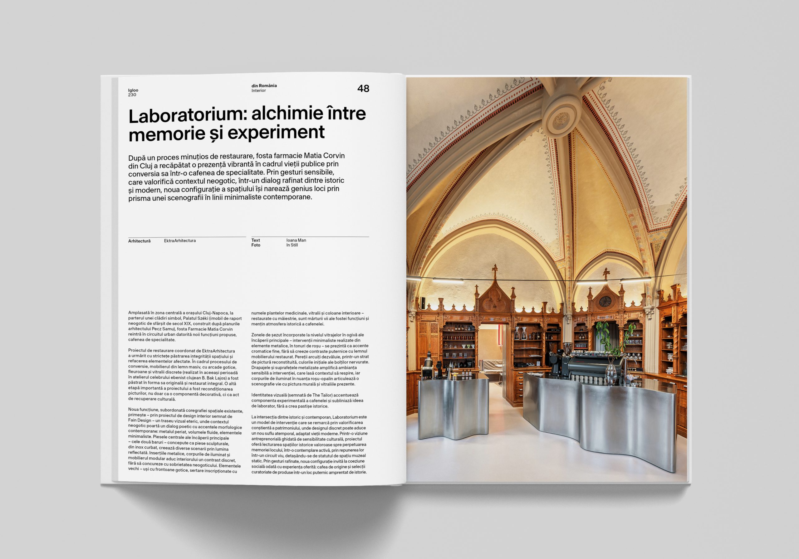 igloo 230 / Spațiul muzeal recent. Transformări, hibridizări, metamorfoze / februarie – martie 2026 - imagine 4