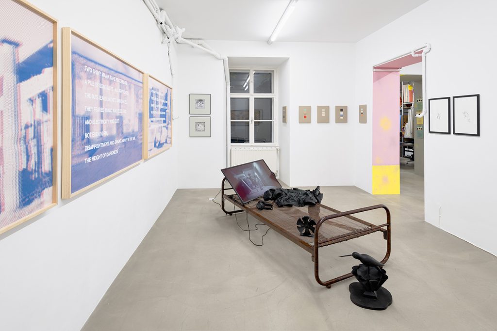 Joy ~ Joy ~ Joy. On the Pepperside of Suprainfinit, o expoziție curatoriată de Kilobase Bucharest la Wonnerth Dejaco Gallery, Viena