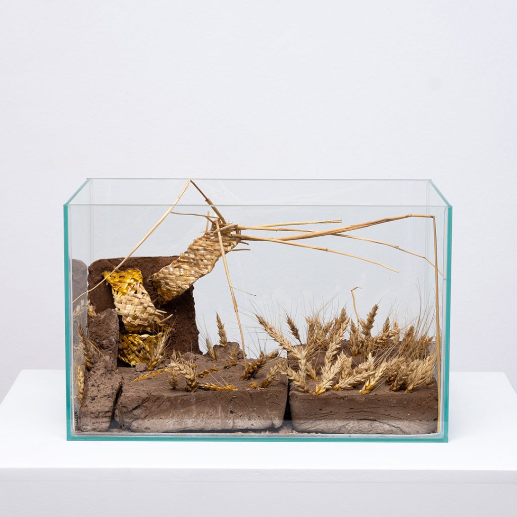 Expoziția Ecologies of Repair de la Gaep: lucrări noi de la opt artiste emergente