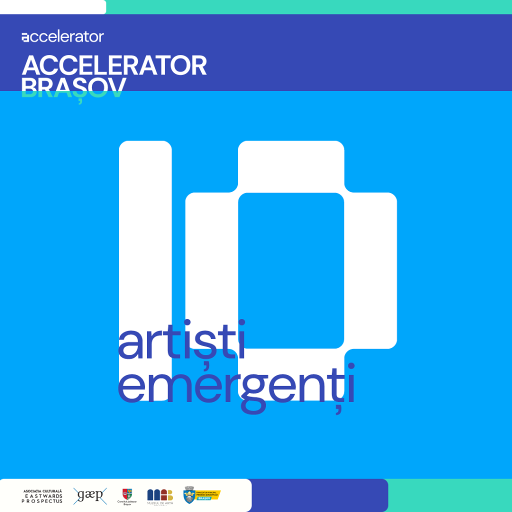 Accelerator anunță numele artiștilor emergenți selectați în cadrul programului de la Muzeul de Artă Brașov