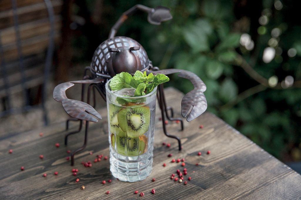 GinOteca Plantelor, casa cu brad în curte, unde ieși din timp