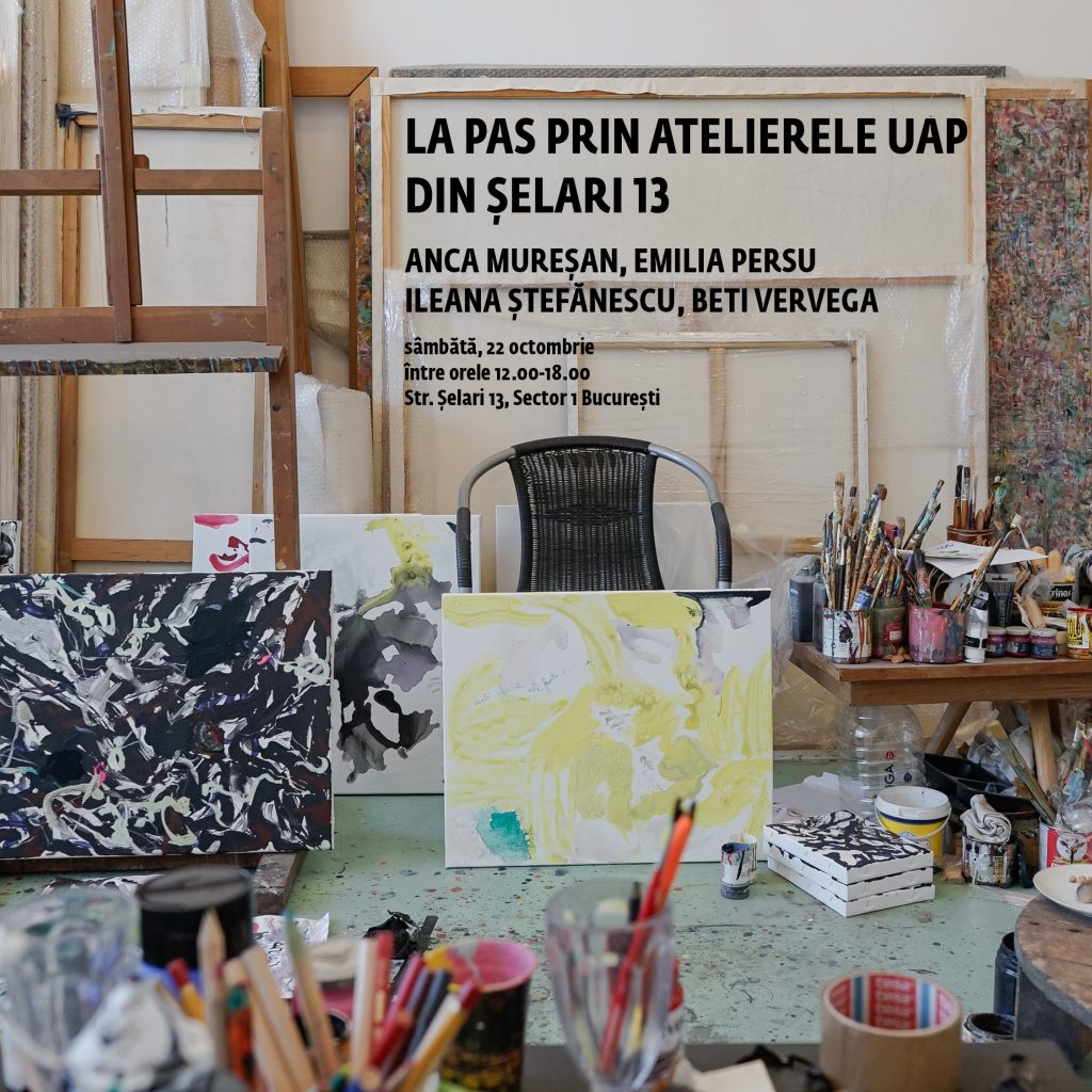 La pas prin atelierele UAP din Șelari 13