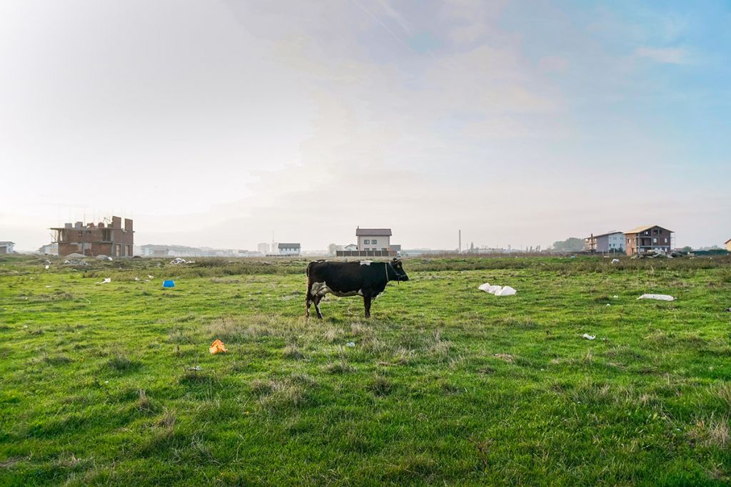 Andrei Mărgulescu și fotografia ca „imersiune în locuri tensionate, provocatoare, periferice”