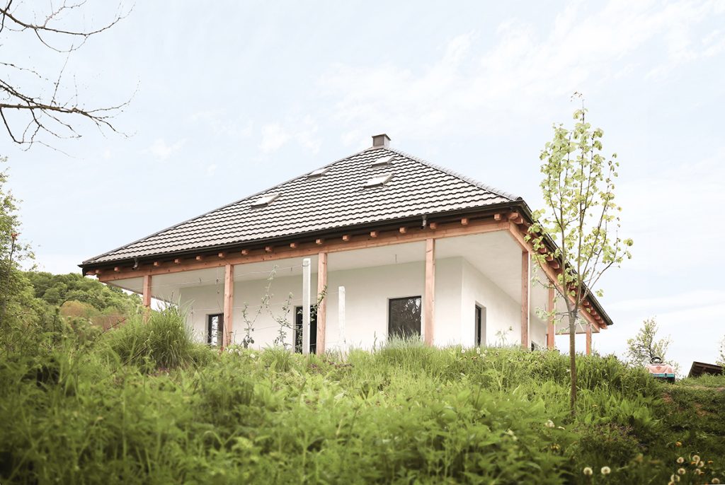 Casa din grădină, mereu bucuroasă de oaspeți