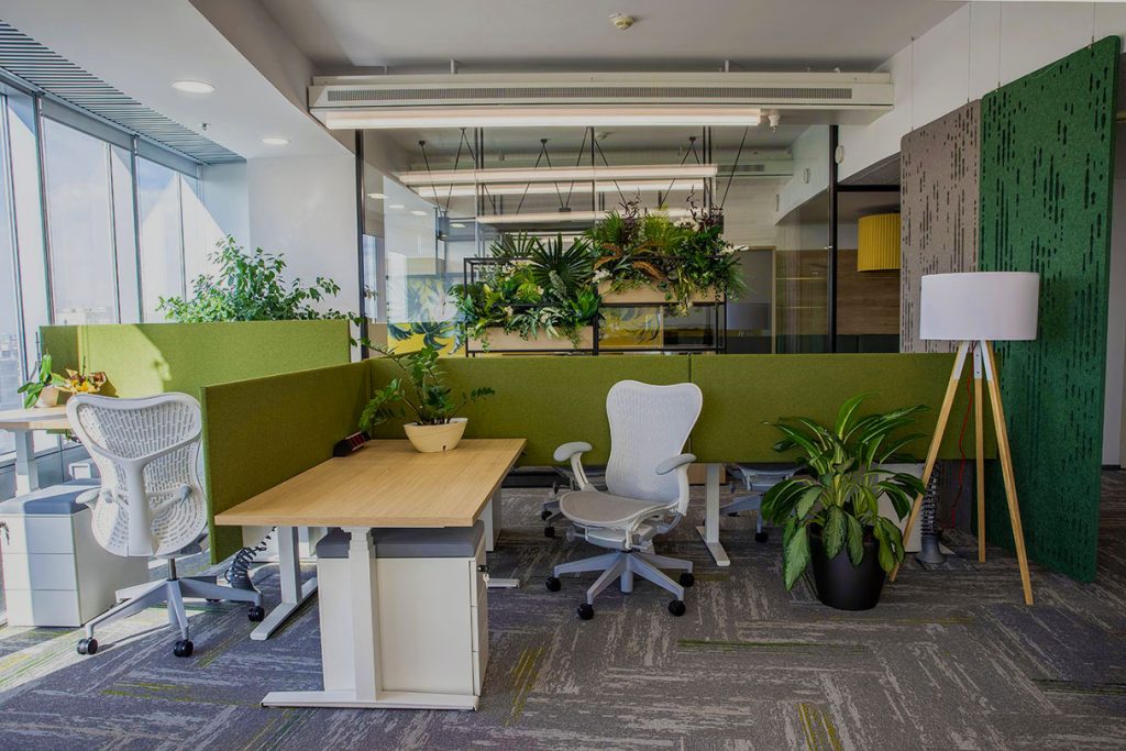 Designul biofilic întâlnește prestanța clasică. Birourile RPHI