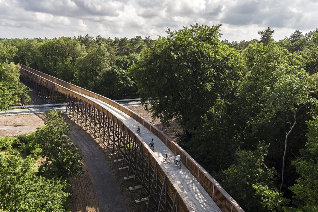 Cu bicicleta prin Parcul Național Hoge Kempen, provincia Limburg, Belgia