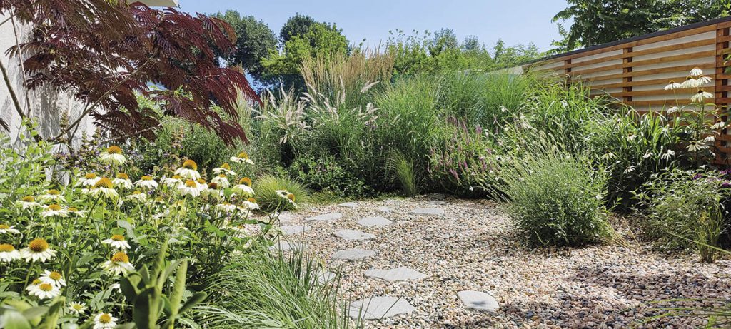 Cu Primitiv Plants despre magia grădinilor perene