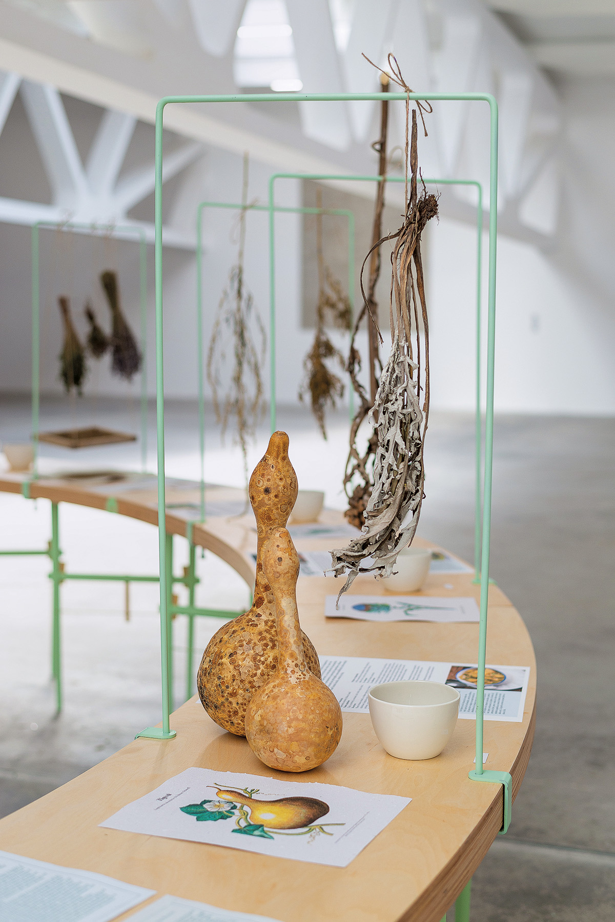 1_mk2_@alexandrutodirica