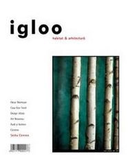 igloo habitat & arhitectură / #29 / mai 2004