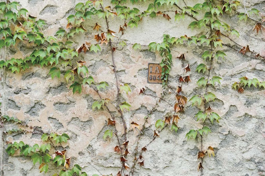 Texturi Uitate: Bucureștiul interbelic. Rețetar de tencuieli