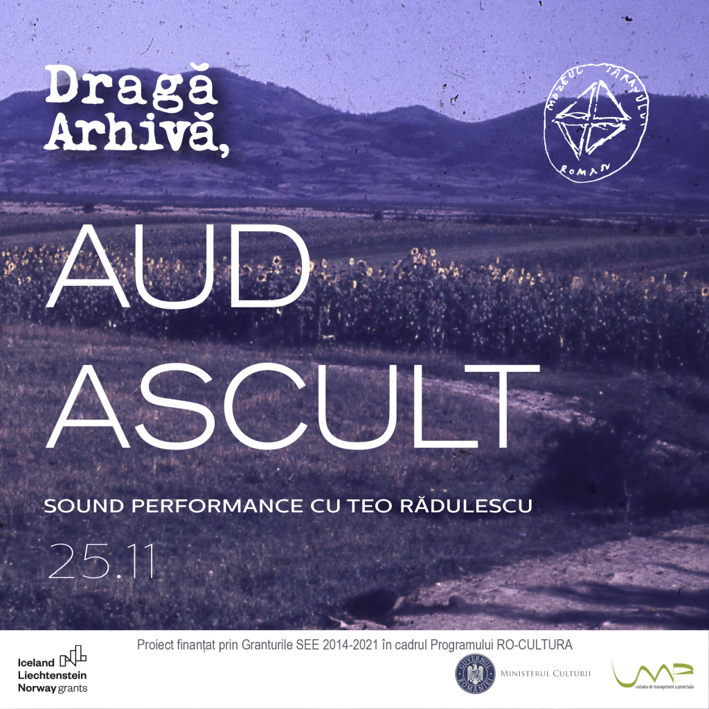 Aud.Ascult | Sound Performance cu Teo Rădulescu