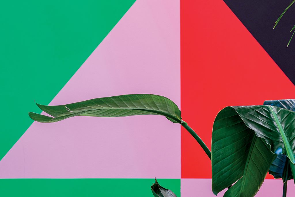 Igloo #196_iunie-iulie: Regândind Arhitectura Verde