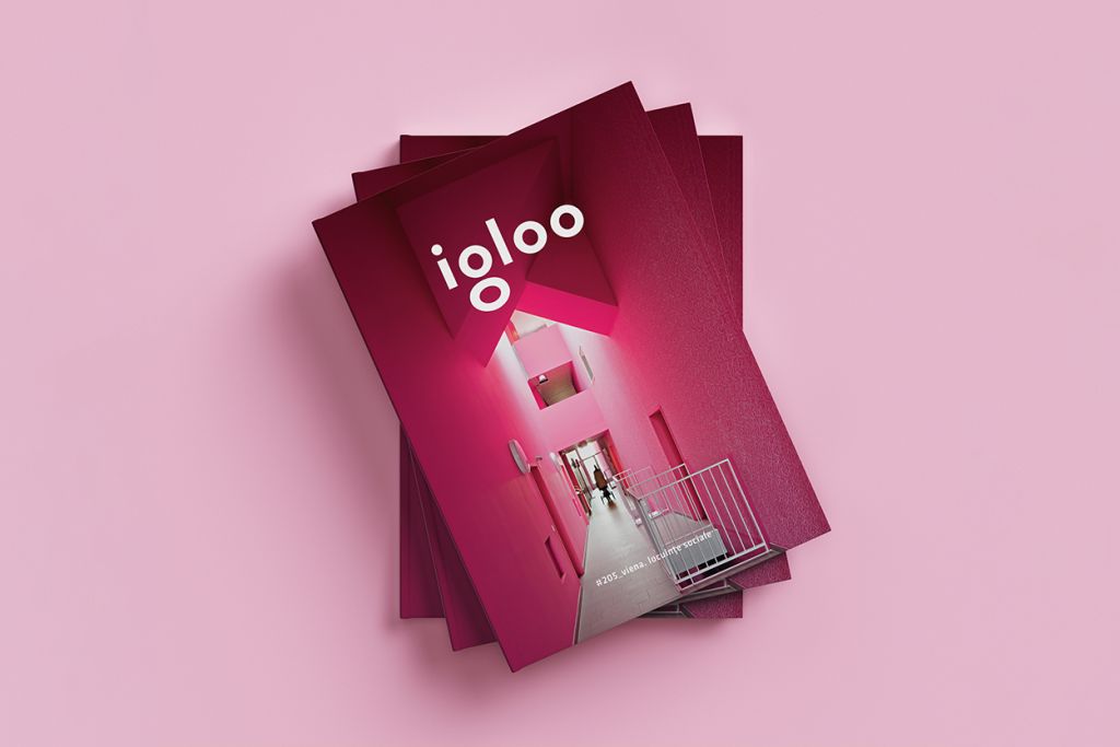 Editorial #205: Igloo la 20 de ani. Între dileme și valori