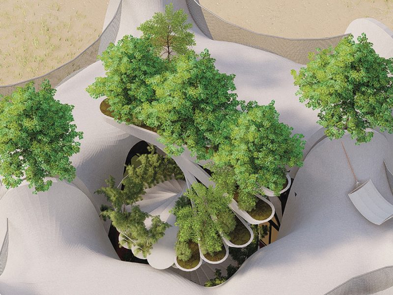 68188-main_3993-1_68188_sc_v2com