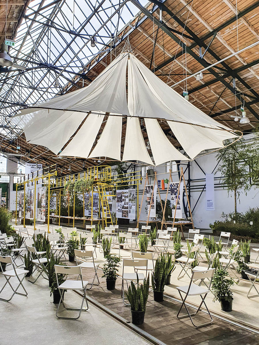 6_Beta4_@Marius Vasile