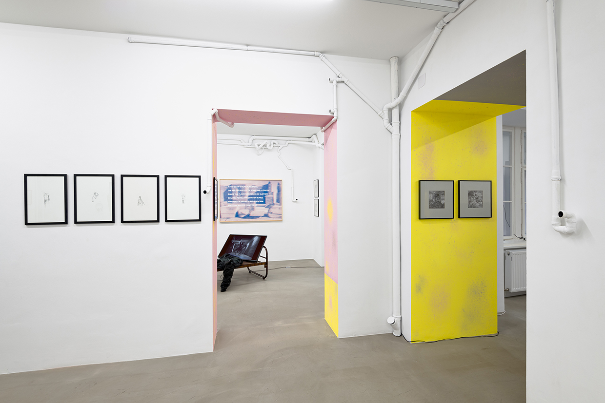 8 - 3. JOY JOY JOY WD 11678