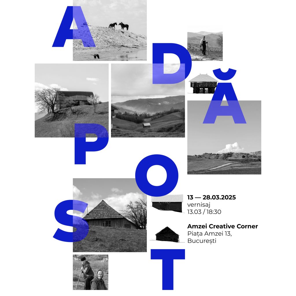 Expoziția „ADĂPOST” – un proiect despre identitate și recuperare în peisajele culturale românești